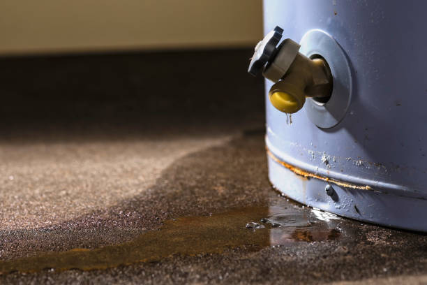 Best Water damage restoration process  in Macon, IL