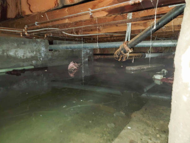 Best 24/7 water damage repair  in Macon, IL