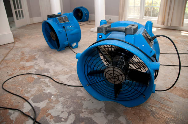 Best Sewage cleanup and water damage restoration  in Macon, IL