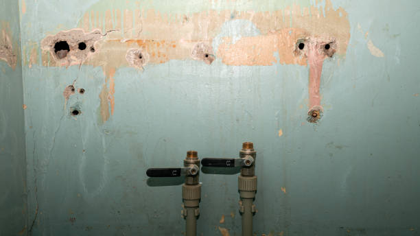 Best Fire Damage Restoration  in Macon, IL