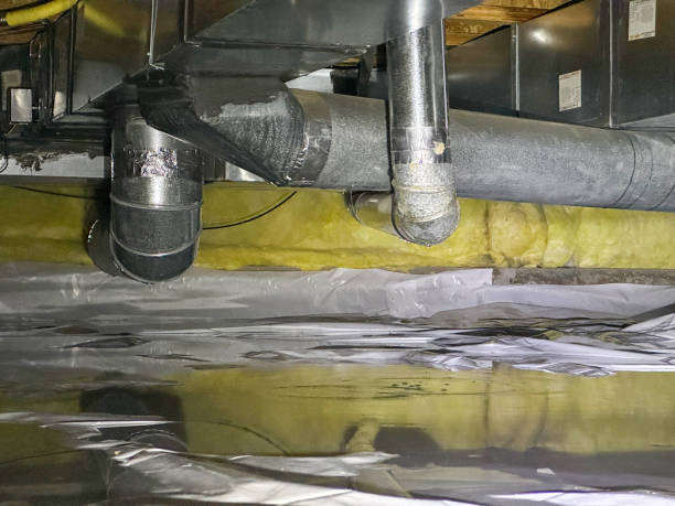 Best Carpet water damage restoration  in Macon, IL