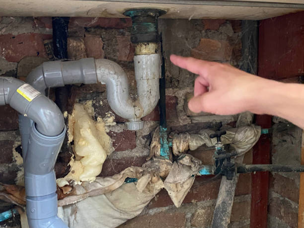 Best Water damage restoration experts  in Macon, IL