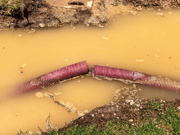 Best Mold removal after water damage  in Macon, IL